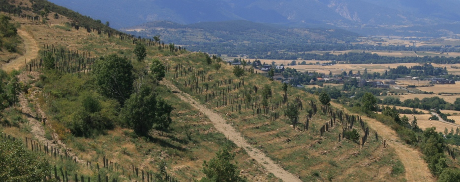 Arborètum Geogràfic de Queixans